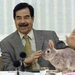 Saddam and Fox the rabbit