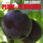 Plum and Plummer - A film about the sticky business of growing plum trees.